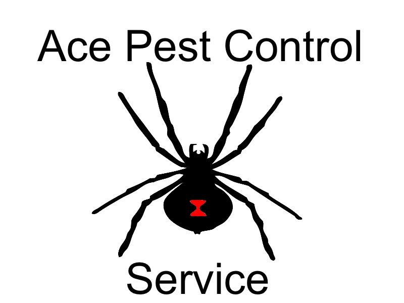 Termite, Bed Bugs, Roaches, Extermination Ace Pest Control Service